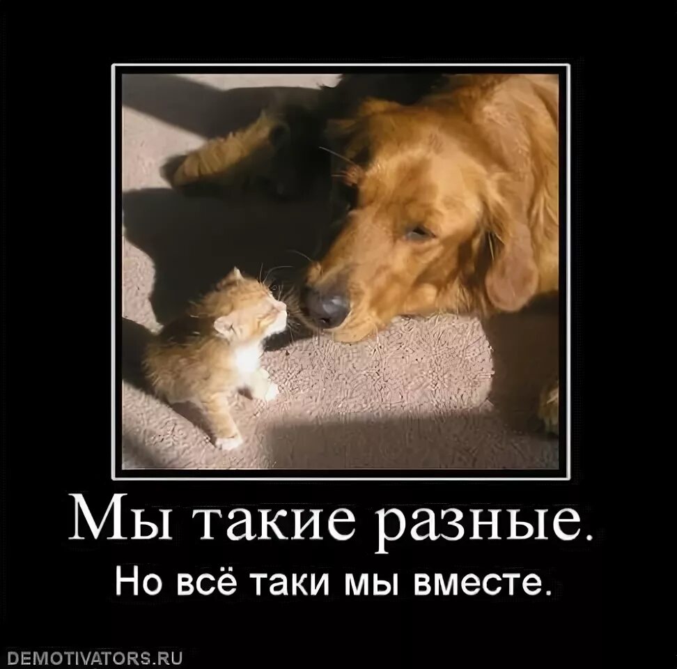 Мы разные мы вместе. Мы такие разные но всетак мы вместе. Все мы разные. Мы такие разные но такие классные. Мы все разные но мы вместе.