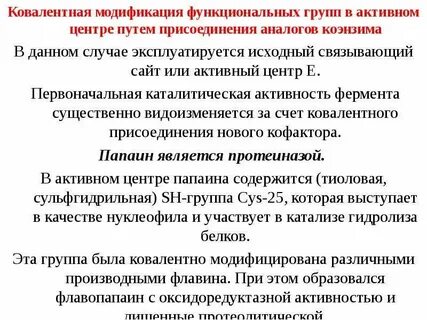 Ферменты модификации