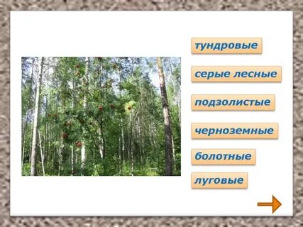 Земля кормилица 4 класс окружающий мир плешаков