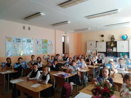 Солидарность елец