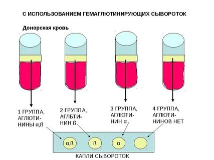 Резус фактору сдавать