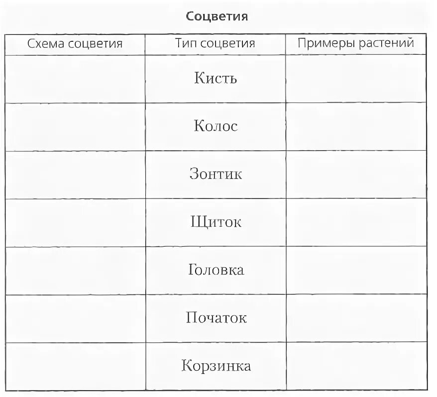 Ознакомление с различными типами соцветий таблица Лабораторная работа ознакомление с разными типами соцветий: найдено 89 картинок