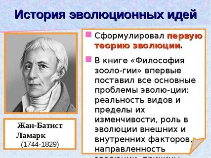 История эволюции презентация
