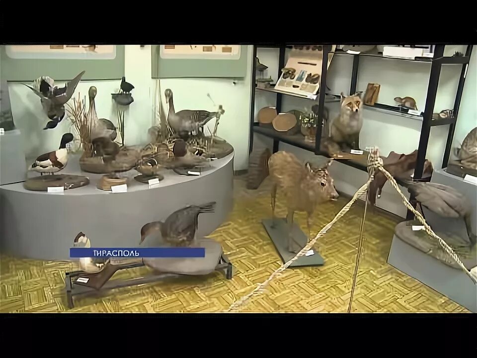 Краеведческий музей п. Краеведческий музей видео. Краеведческий музей видео. Читинский областной краеведческий музей. Сланцевский историко-краеведческий музей.