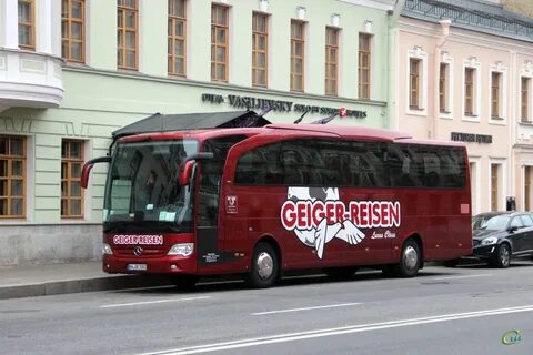 Питер смоленск автобус