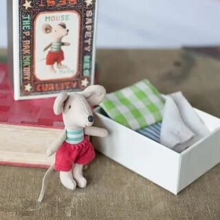 Коробочки тома