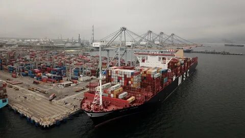 Dev port
