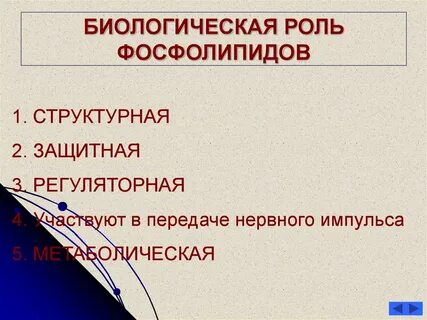 Роль фосфолипидов в организме
