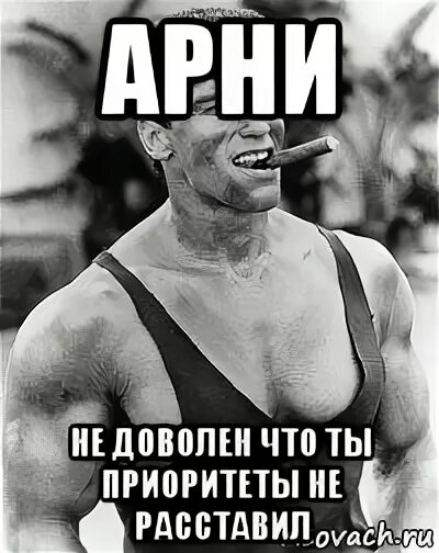 Хочу жениться арни. Арни недоволен. арни мемы. арни прикол. арни одобряет.