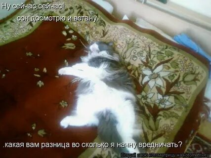 Ну сейчас получше