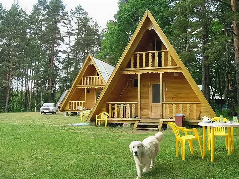 Бизнес туристическая база. Турбазы с собаками. База полесье северский район. Элитная база отдыха. Лукоморье золотаревка пенза.