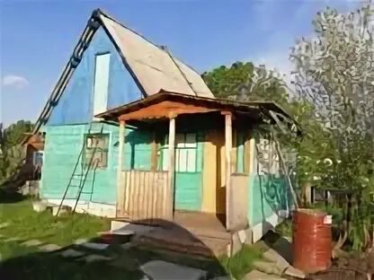 Сады сосновоборск