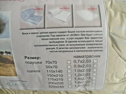 Асика рязань