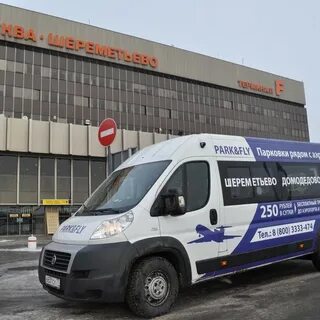 Флай домодедово