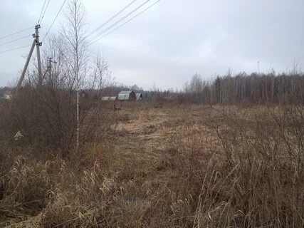 Погода в сорокино талдомского