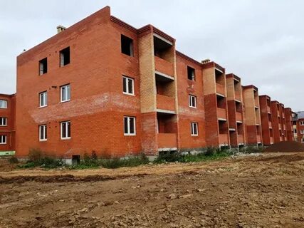 Каштановая щедрино