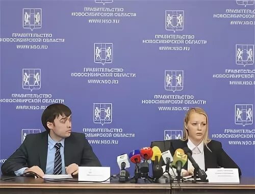 Сайта новосибирского минэкономразвития