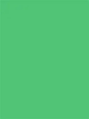 Зеленый hex. 50c878. изумрудный цвет 50c878. изумрудный hex. цвет изумруд ц.