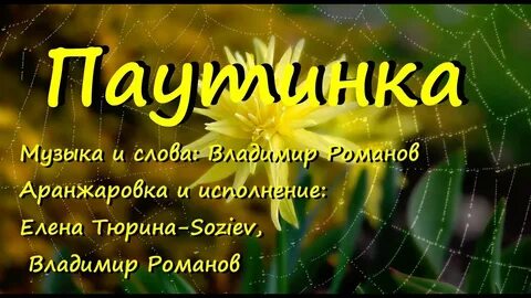 Песни паутинка