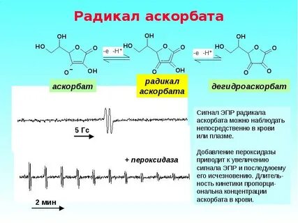 Концентрация радикалов