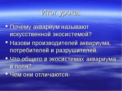 Почему называют экосистемой