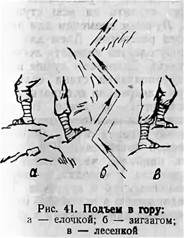 Способы подъема на склон на лыжах. Преодоление подъемов и спусков на лыжах. Подъём ёлочкой на лыжах методика. Подъем ступающим шагом на лыжах. Способы подъема и спуска на лыжах.