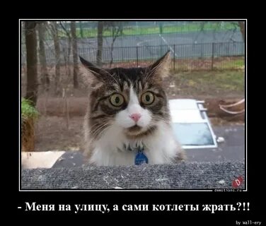Подъедите