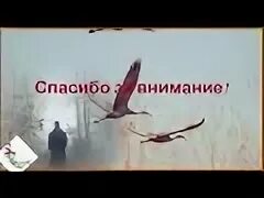 Конспект урока литературы 5 класс гамзатов журавли