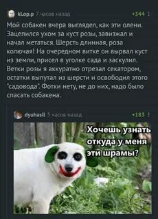 Шрамы текст