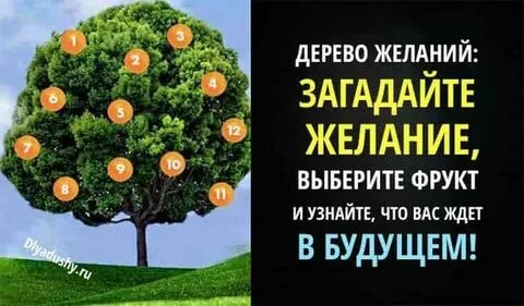 Дерево желаний гороскоп