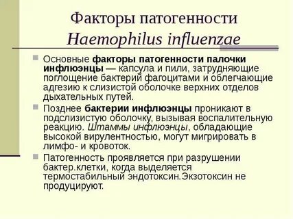 Патогенные факторы вирусов