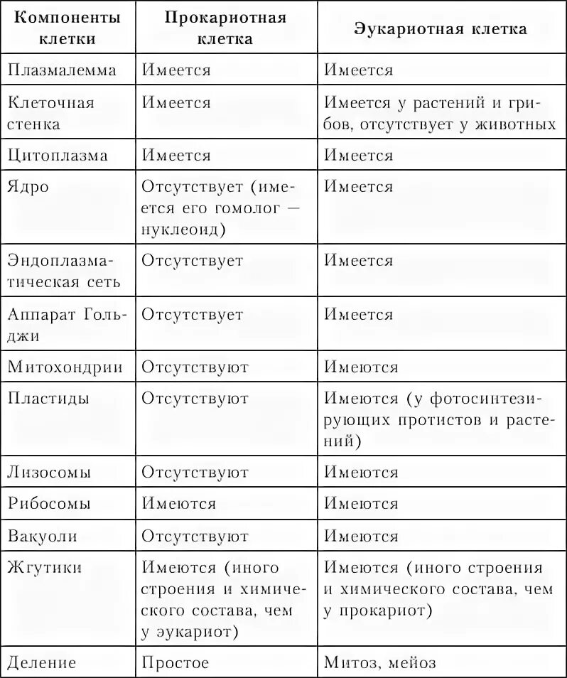 Таблица органоиды эукариот и функции. Эукариотическая клетка таблица строение и функции. Таблица эукариотической клетки. Таблица строение и функции эукариотной клетки. Таблицу органоиды эукариотической клетки