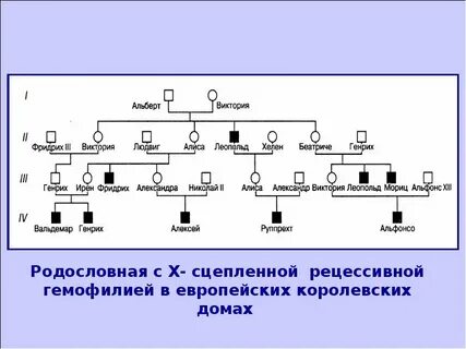 Генетика 2