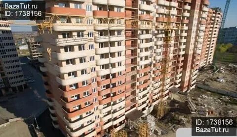 Ул душистая индекс