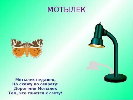 Стих про мотылька