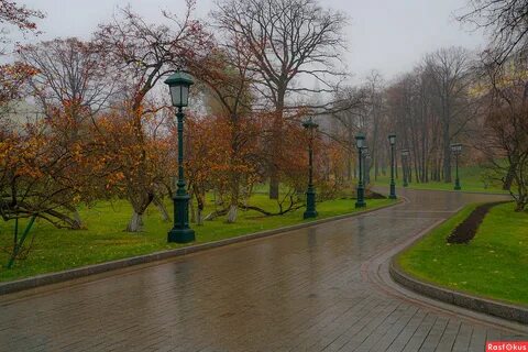 Осадки александровское