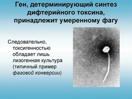 Детерминировать