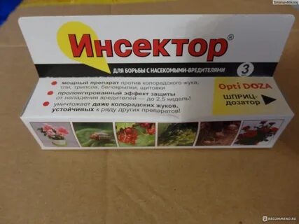 Инсектор