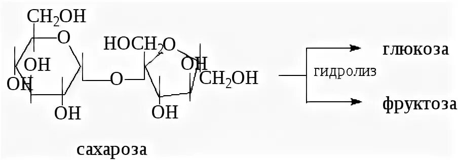 Глюкоза фруктоза сахароза формулы. Глюкоза фруктоза сахароза. Гидролиз Глюкозы и фруктозы. Гидролиз фруктозы.