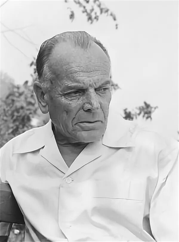 лицо паустовского. лицо паустовского. паустовский портрет писателя. фото паустовского константина георгиевича. лицо паустовского.