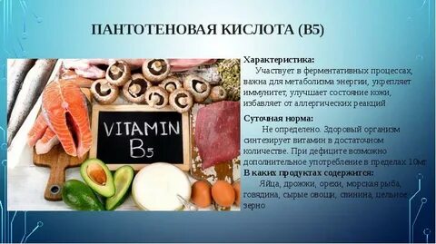 Пантотеновая кислота для чего