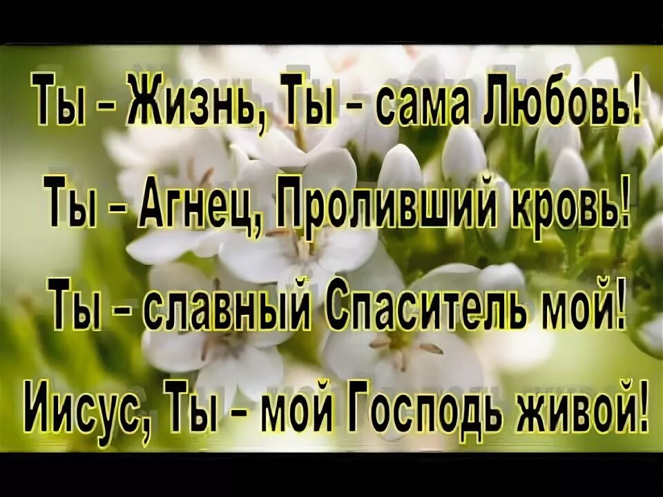 Свят господь текст. Свят Господь. Свят Господь Саваоф. Свят свят Господь. Свят свят свят Господь Саваоф.