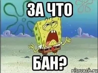 Без сего