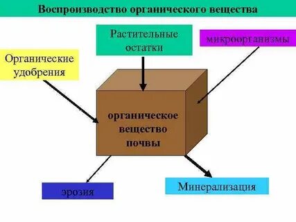 Вещество плодородия