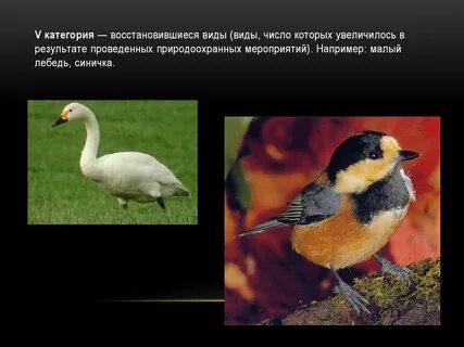 Восстанавливающиеся виды