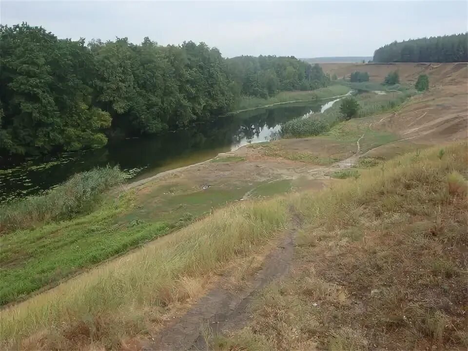 Кутки воронежская область