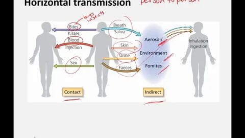 Transmission virus