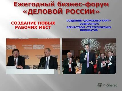Организация 2013 года