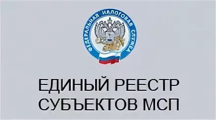 Фнс мсп