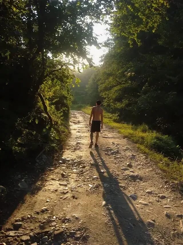 Почему в сочи туман. Туман в сочи. туман в сочи фото.